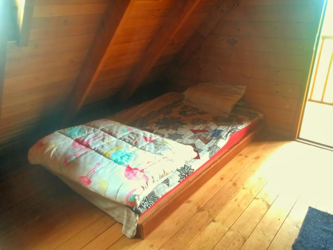 Joy Eco Woodhouse - 5 Bhk House (Adults Only) Βίλα Ooty Εξωτερικό φωτογραφία